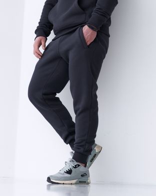 Зимние мужские спортивные штаны фуме цвета модель 4w3-фуме