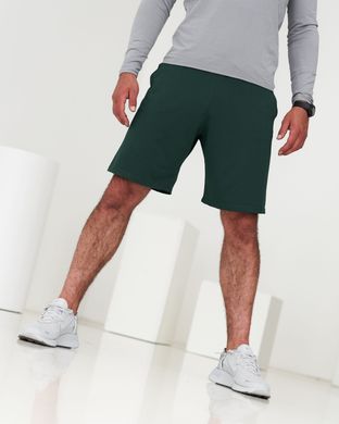 Мужские спортивные шорты зеленого цвета, модель 9т2shorts