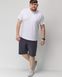 Мужские спортивные шорты фуме цвета 4т2 модель, серый