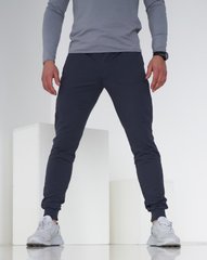 Тонкі чоловічі спортивні штани фуме кольору  модель 61pants_fume