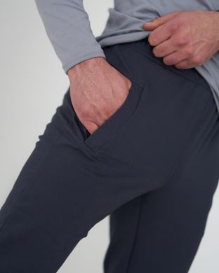 Тонкі чоловічі спортивні штани фуме кольору  модель 61pants_fume