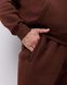 Костюм з худі hood чоловічий зимовий коричневого кольору,  модель 344w3-brown